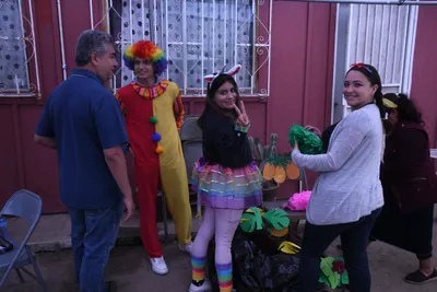 DSC_1296 (Large).JPG